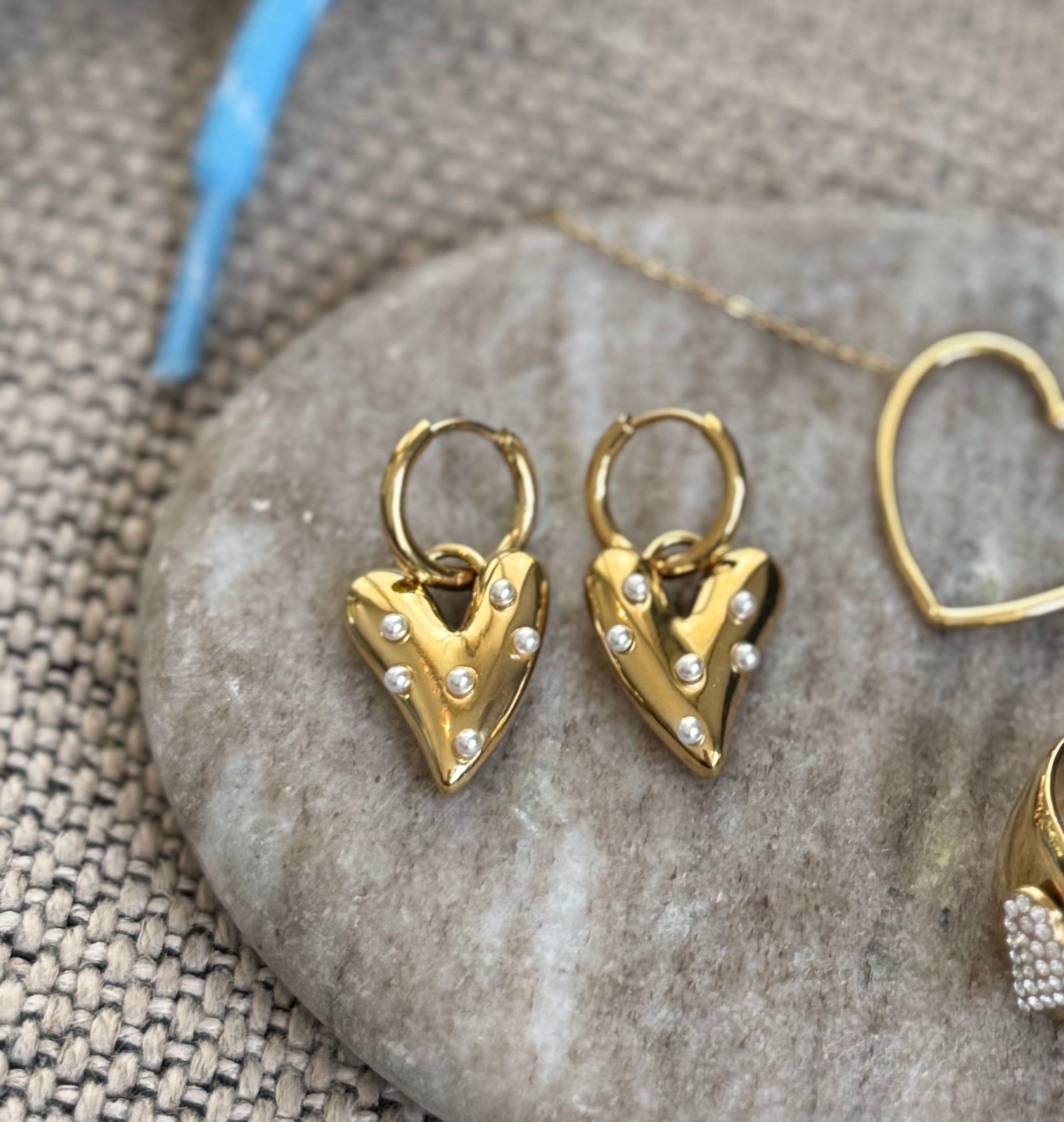 Tiara - Oorbellen - Stainless steel